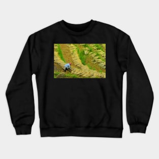 Rice Terrace5. Crewneck Sweatshirt